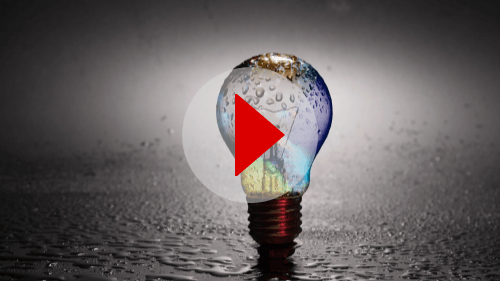 Bulb-in-Rain